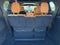2022 Chrysler Pacifica Pinnacle
