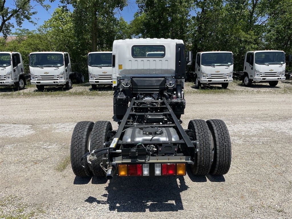 2024 Chevrolet Low Cab Forward 5500 XG 5500