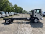 2024 Chevrolet Low Cab Forward 5500 XG 2WD Reg Cab 176