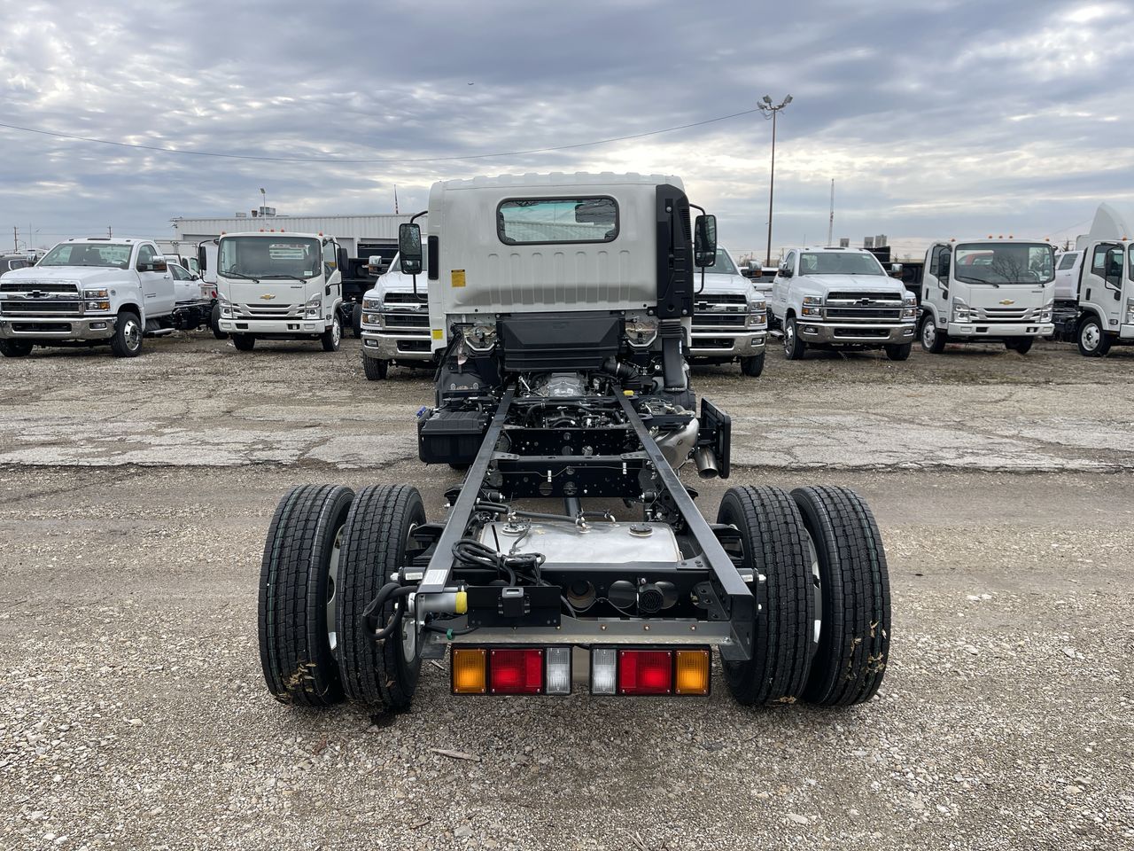 2024 Chevrolet Low Cab Forward 5500 HD 2WD Reg Cab 150