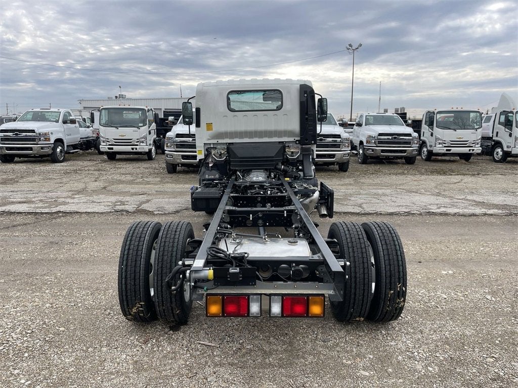 2024 Chevrolet Low Cab Forward 5500 HD 2WD Reg Cab 150